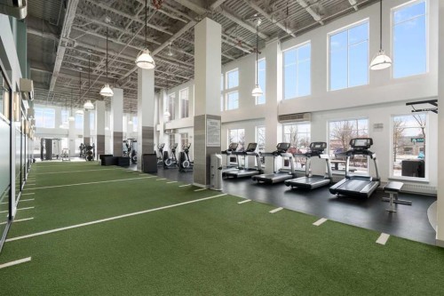 610-63 Inglewood Park Se, Calgary, AB - Indoor Photo Showing Gym Room