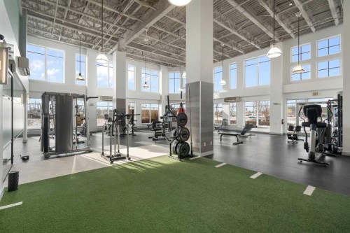 610-63 Inglewood Park Se, Calgary, AB - Indoor Photo Showing Gym Room
