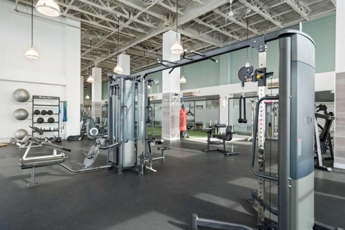 610-63 Inglewood Park Se, Calgary, AB - Indoor Photo Showing Gym Room
