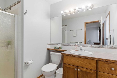 247 Cambridge Crescent, Strathmore, AB - Indoor Photo Showing Bathroom