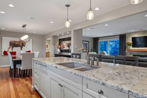 324 Willow Ridge Place Se, Calgary, AB - Indoor Photo Showing Kitchen With Double Sink With Upgraded Kitchen