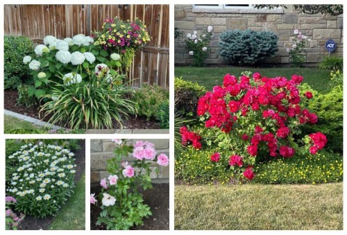 324 Willow Ridge Place Se, Calgary, AB - Outdoor