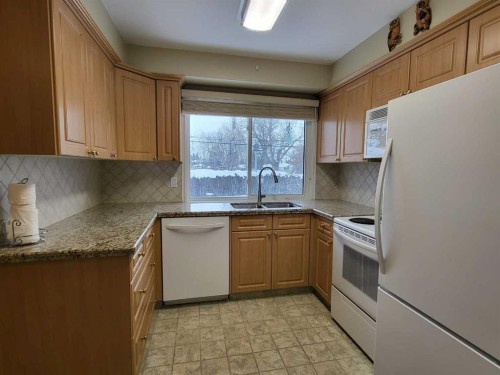 22 Montrose Crescent Ne, Calgary, AB - Indoor Photo Showing Kitchen With Double Sink