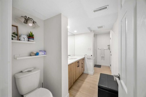 123 Radley Place Se, Calgary, AB - Indoor Photo Showing Bathroom