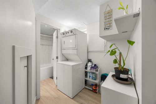 123 Radley Place Se, Calgary, AB - Indoor Photo Showing Laundry Room