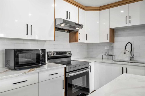 123 Radley Place Se, Calgary, AB - Indoor Photo Showing Kitchen With Upgraded Kitchen