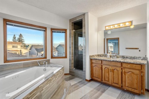 107 Pasadena Green Ne, Calgary, AB - Indoor Photo Showing Bathroom