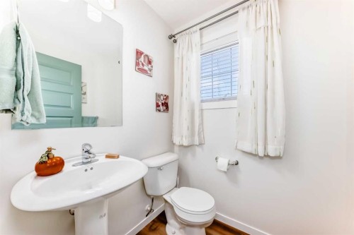 307 Auburn Bay Circle Se, Calgary, AB - Indoor Photo Showing Bathroom
