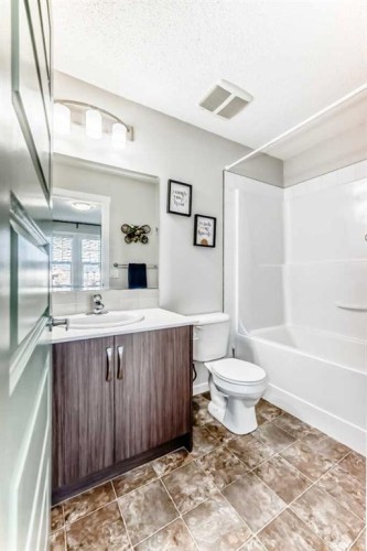 307 Auburn Bay Circle Se, Calgary, AB - Indoor Photo Showing Bathroom