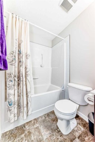307 Auburn Bay Circle Se, Calgary, AB - Indoor Photo Showing Bathroom