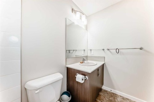 307 Auburn Bay Circle Se, Calgary, AB - Indoor Photo Showing Bathroom
