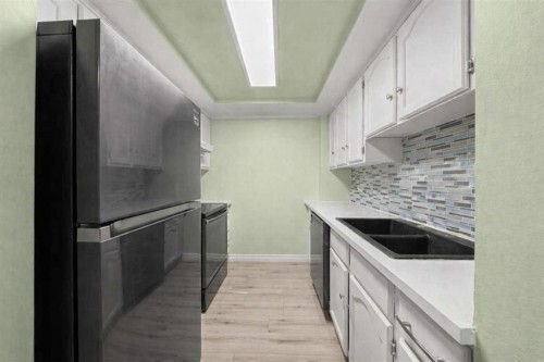 104-1817 14A Street Sw, Calgary, AB - Indoor Photo Showing Kitchen With Double Sink