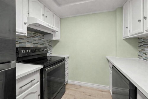 104-1817 14A Street Sw, Calgary, AB - Indoor Photo Showing Kitchen