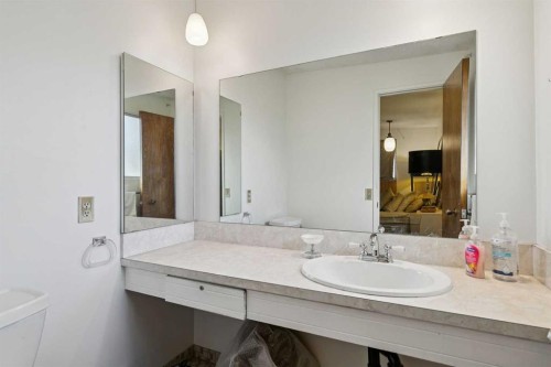 10712 Mapleshire Crescent Se, Calgary, AB - Indoor Photo Showing Bathroom