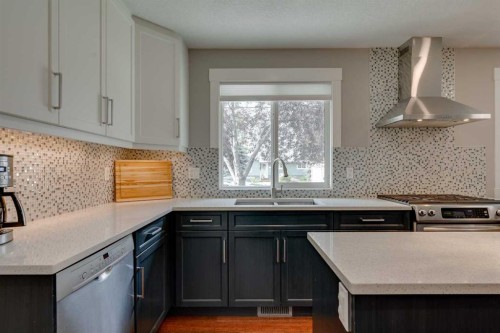 2444 45 Street Se, Calgary, AB - Indoor Photo Showing Kitchen With Double Sink With Upgraded Kitchen