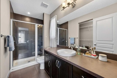 253 Chaparral Valley Drive Se, Calgary, AB - Indoor Photo Showing Bathroom