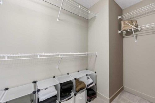 253 Chaparral Valley Drive Se, Calgary, AB - Indoor With Storage