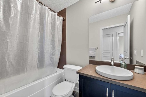 253 Chaparral Valley Drive Se, Calgary, AB - Indoor Photo Showing Bathroom