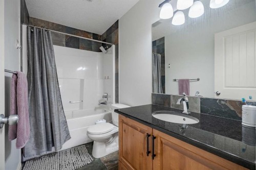 2937 Prairie Springs Grove Sw, Airdrie, AB - Indoor Photo Showing Bathroom