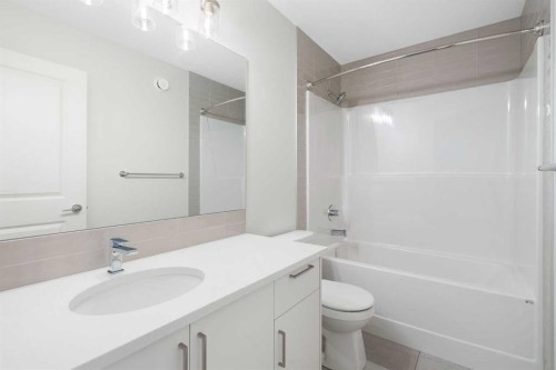 680 Buffaloberry Manor Se, Calgary, AB - Indoor Photo Showing Bathroom