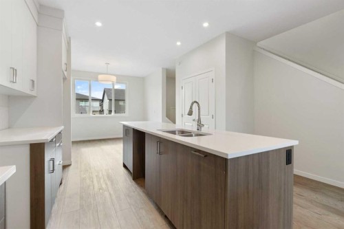 688 Buffaloberry Manor Se, Calgary, AB - Indoor Photo Showing Kitchen With Double Sink