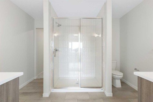 688 Buffaloberry Manor Se, Calgary, AB - Indoor Photo Showing Bathroom