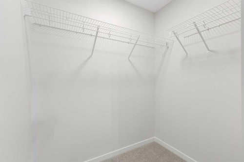 688 Buffaloberry Manor Se, Calgary, AB - Indoor With Storage