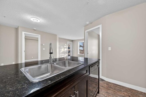 207-355 Taralake Way Ne, Calgary, AB - Indoor Photo Showing Kitchen With Double Sink