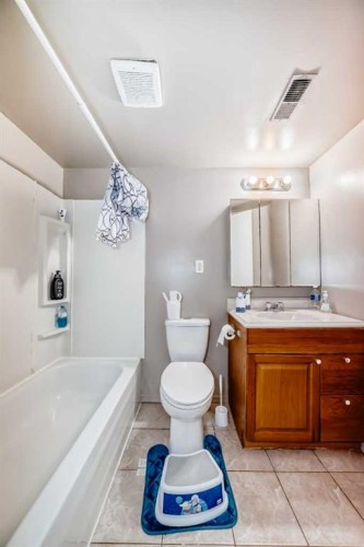 627 Fortalice Crescent Se, Calgary, AB - Indoor Photo Showing Bathroom