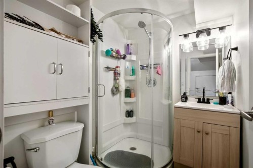 1986 Cottonwood Crescent Se, Calgary, AB - Indoor Photo Showing Bathroom
