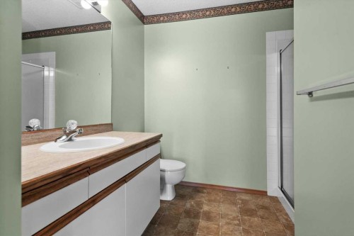 222 Arbour Cliff Close Nw, Calgary, AB - Indoor Photo Showing Bathroom