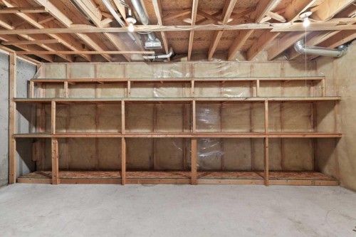 222 Arbour Cliff Close Nw, Calgary, AB - Indoor Photo Showing Basement