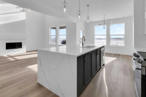 140 Copperhead Road Se, Calgary, AB - Indoor Photo Showing Kitchen With Upgraded Kitchen