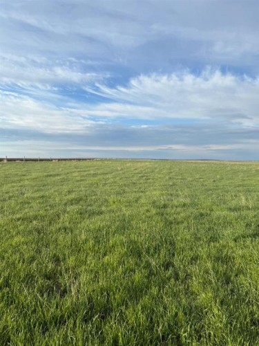 Range Road 212, Rural Vulcan County, AB 