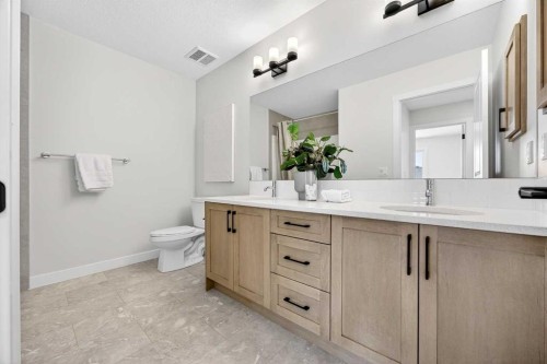 52 Fireside Common Sw, Cochrane, AB - Indoor Photo Showing Bathroom