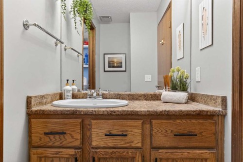 28 Mckerrell Close Se, Calgary, AB - Indoor Photo Showing Bathroom