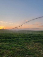 Hyw 24  Rural Vulcan County, AB T0J 0M0