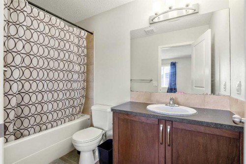 8339 Saddlebrook Drive Ne, Calgary, AB - Indoor Photo Showing Bathroom