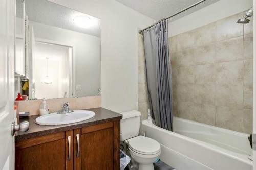 8339 Saddlebrook Drive Ne, Calgary, AB - Indoor Photo Showing Bathroom