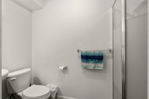 8339 Saddlebrook Drive Ne, Calgary, AB - Indoor Photo Showing Bathroom