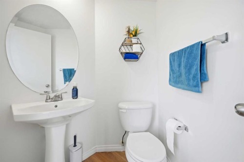 41 New Brighton Green Se, Calgary, AB - Indoor Photo Showing Bathroom