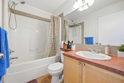 41 New Brighton Green Se, Calgary, AB - Indoor Photo Showing Bathroom