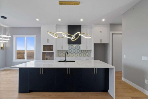 282 Muirfield Crescent, Lyalta, AB - Indoor Photo Showing Kitchen With Upgraded Kitchen