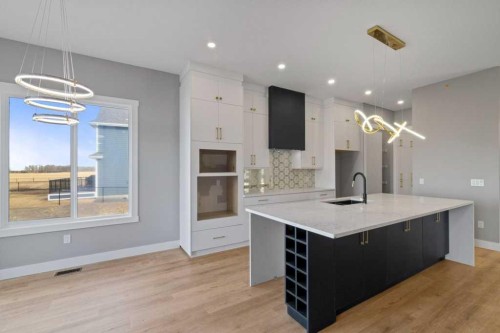 282 Muirfield Crescent, Lyalta, AB - Indoor Photo Showing Kitchen With Upgraded Kitchen