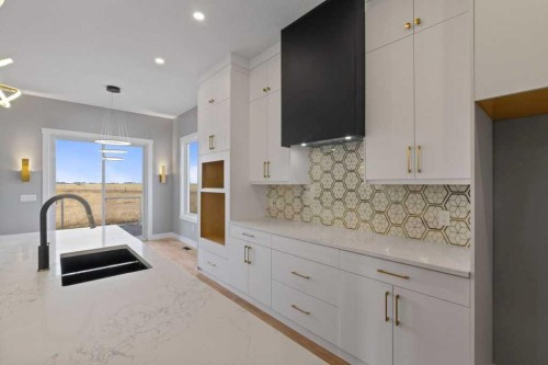 282 Muirfield Crescent, Lyalta, AB - Indoor Photo Showing Kitchen With Double Sink