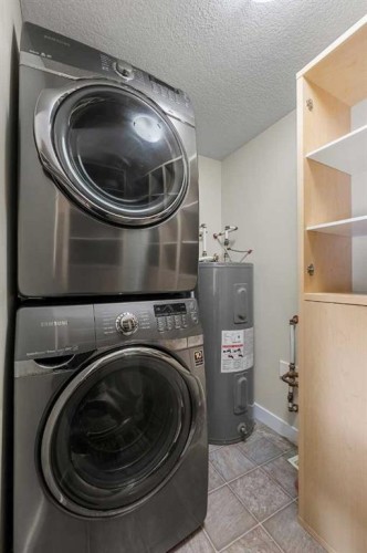193-300 Marina Drive, Chestermere, AB - Indoor Photo Showing Laundry Room