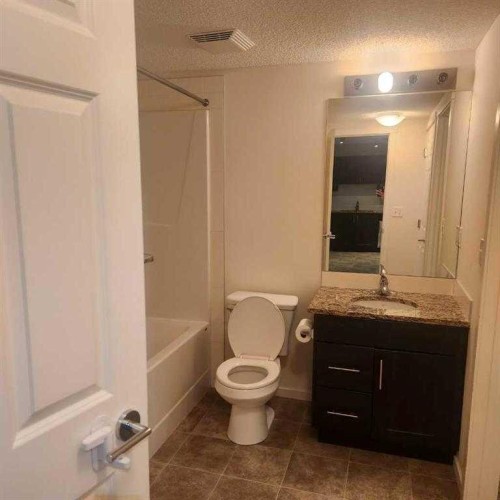 5206-755 Copperpond Boulevard Se, Calgary, AB - Indoor Photo Showing Bathroom