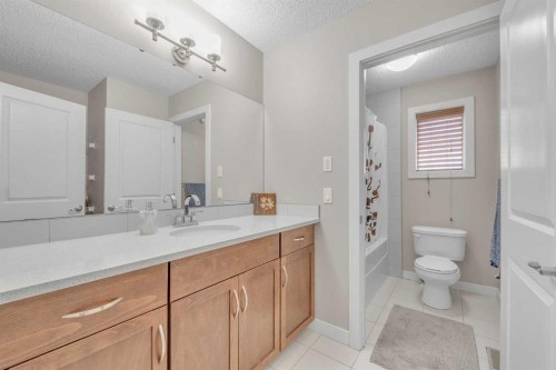 145 Walden Park Se, Calgary, AB - Indoor Photo Showing Bathroom