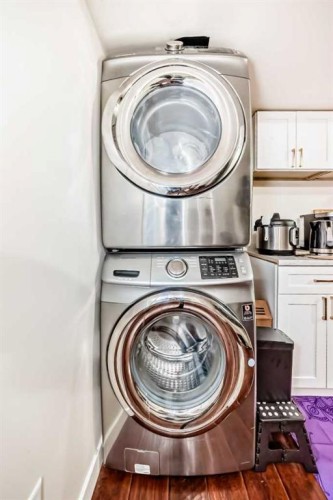 46 Cranford Gardens Se, Calgary, AB - Indoor Photo Showing Laundry Room