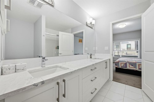 101-4250 Seton Drive Se, Calgary, AB - Indoor Photo Showing Bathroom